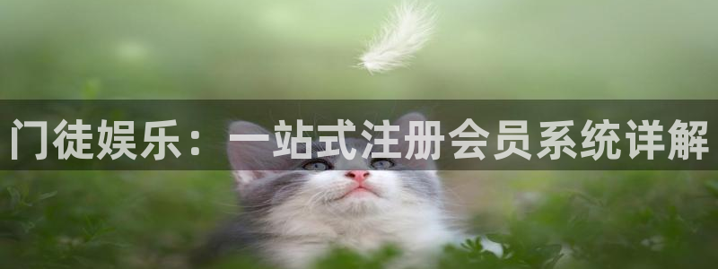 多多28app官网