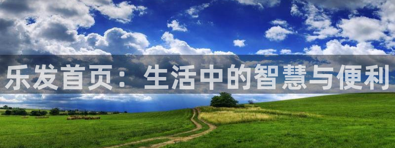 多多28网址
