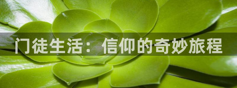 多多28.ccmpc官网登录入口