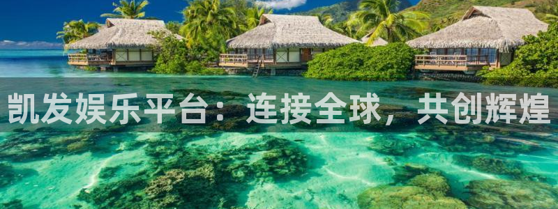多多28.ccpc