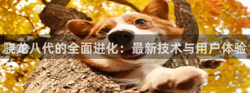 下载多多28.ccm.28官网版