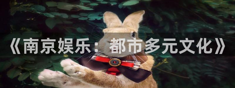 多多28娱乐场所