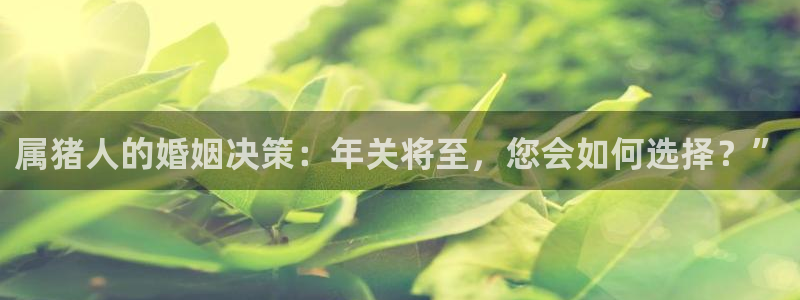 多多28游戏官网入口