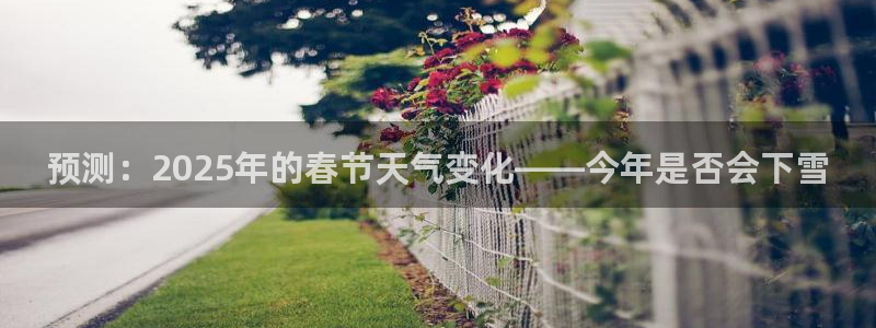多多28平台