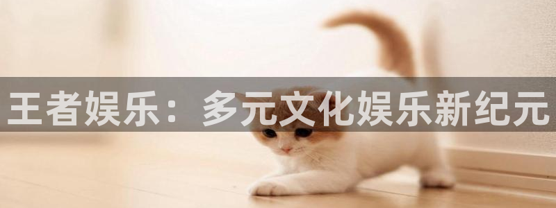 多多28链接怎么打开