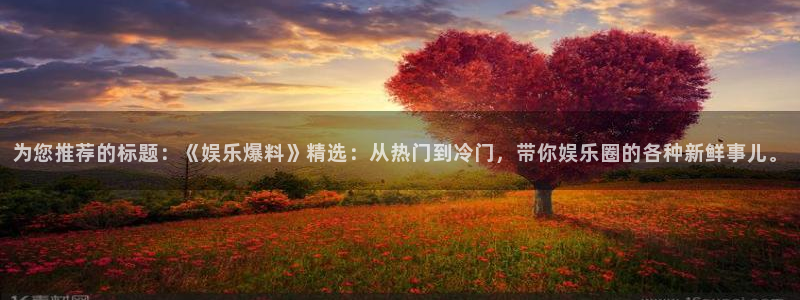 多多28下载平台