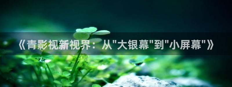 多多28软件下载