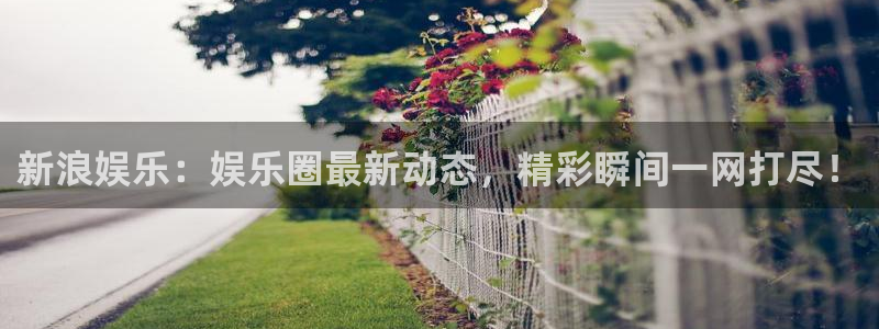 多多28网址