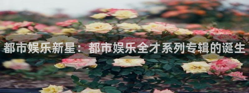 多多28电子游戏