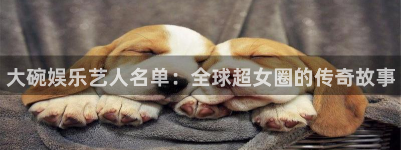 多多28ios下载