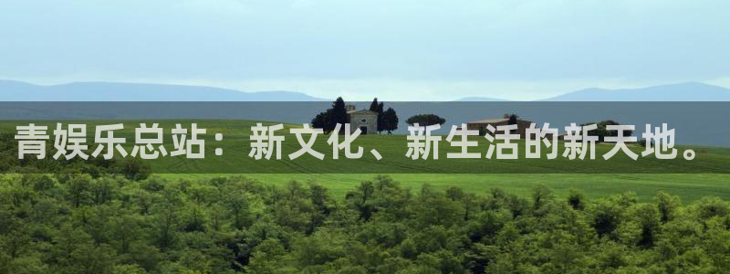 多多28电子游戏