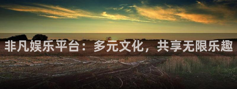 多多28电子游戏官网入口