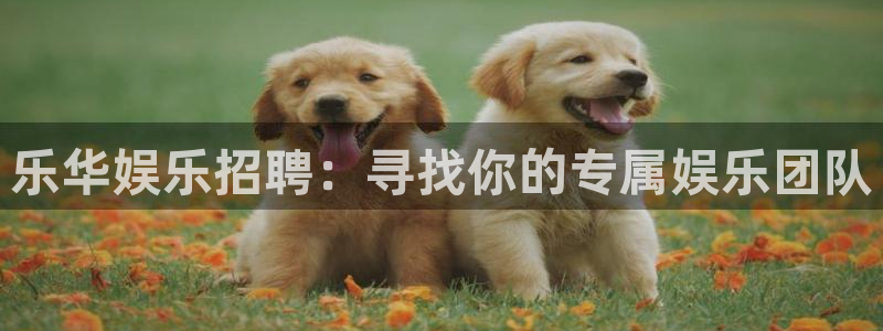 pg电子多多28下载：乐华娱乐招聘：寻找你的专属娱乐团队