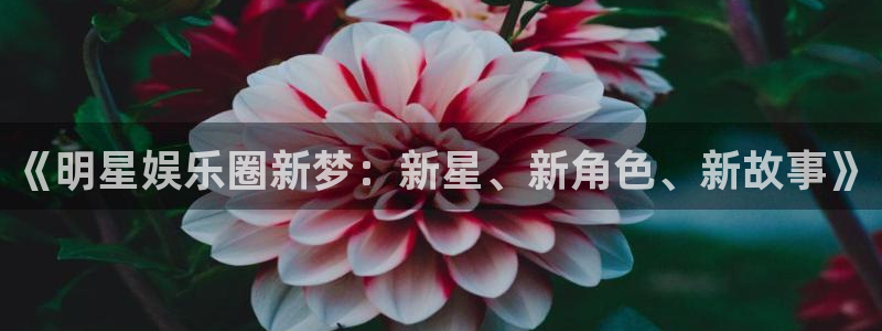 多多28预测官网入口