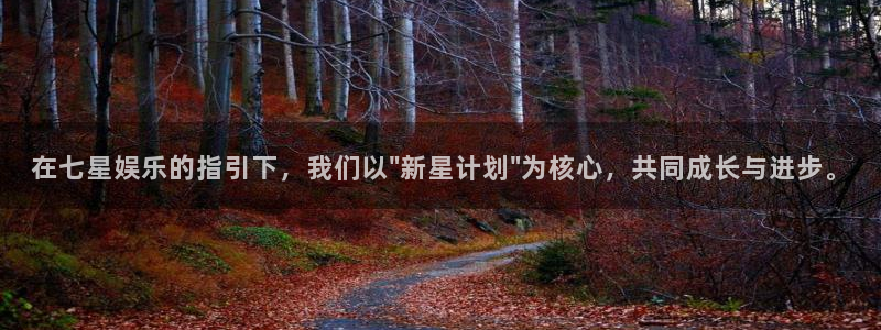 多多28.ccmpc29下载安装