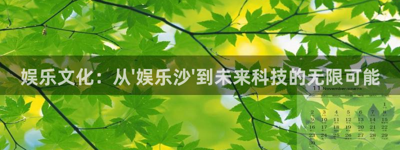 多多28pg官方安装下载