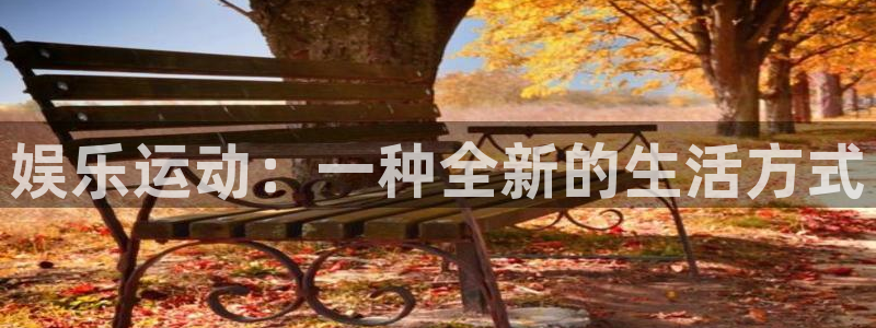 多多28怎么下载