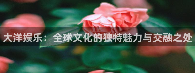 多多28平台下载链接