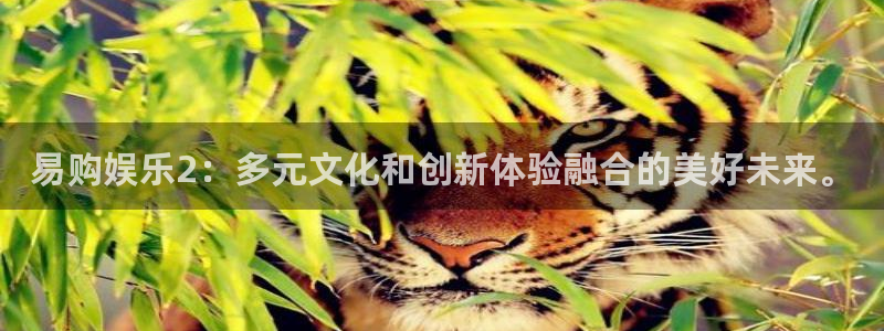 多多28app官方下载地址