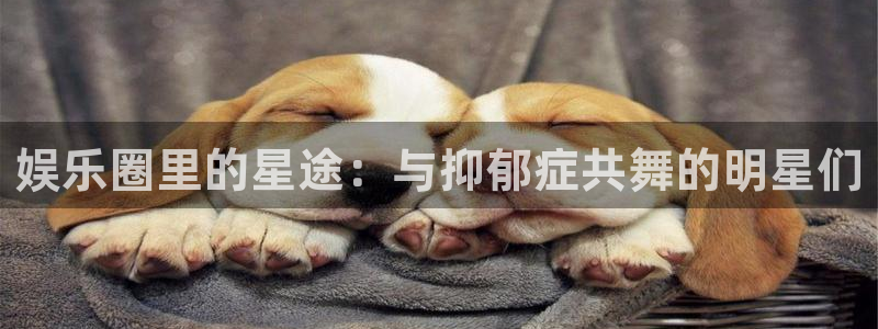 多多28pg官网入口下载