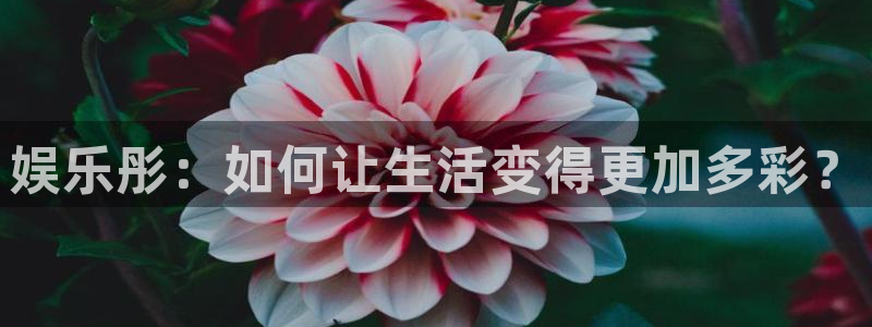 多多28科技赋能场景,让娱乐更有趣