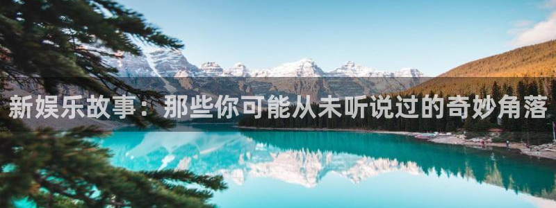 多多28app下载入口
