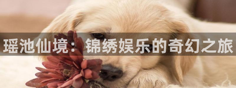 多多28网址：瑶池仙境：锦绣娱乐的奇幻之旅