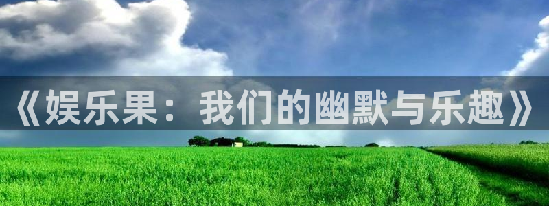 多多28平台注册入口在哪：《娱乐果：我们的幽默与乐趣》